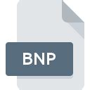 how to open bnp file|BNP File: How to open BNP file (and what it is).